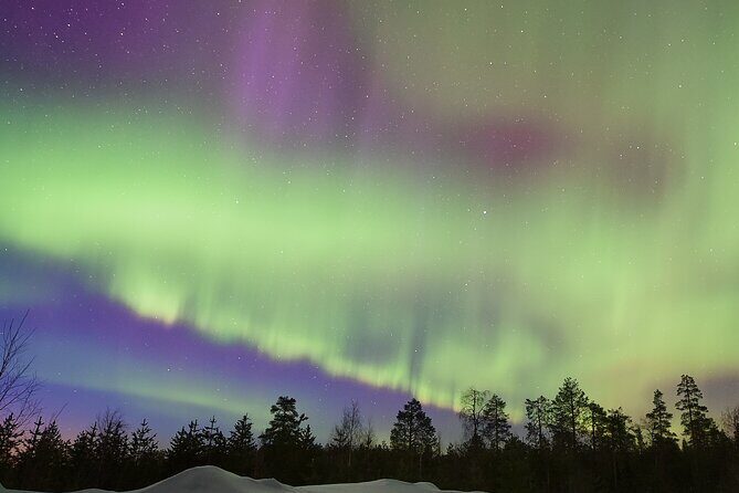 Lapland In A Day - Reindeer, Sledding, Snowmobile & Nature - Northern Lights chances: when the weather cooperates