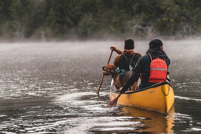 Lapland Kayak Adventure in Rovaniemi - Break Stops and Optional Swims: The Real Heart of the Trip