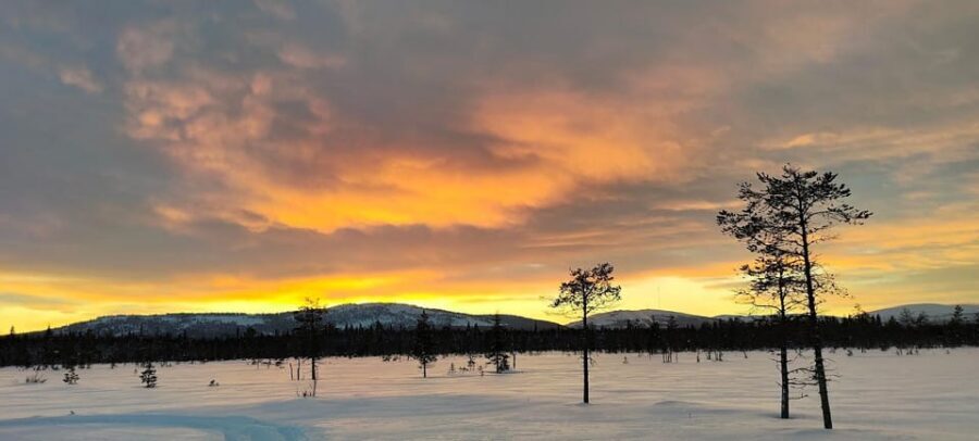 Lapland: Private Snowmobile Safari with arctic Local Guide - A private snowmobile day in Luosto with guide Ville and a small-family VIP feel