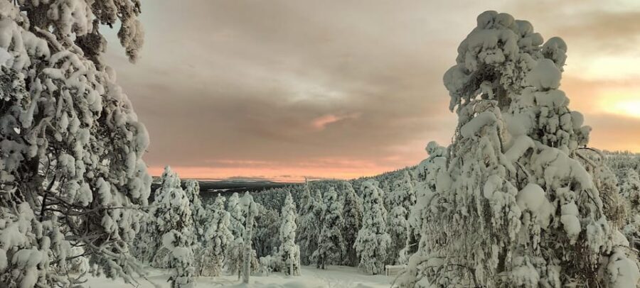 Lapland: Private Snowmobile Safari with arctic Local Guide - How the snowmobile ride is set up for small groups (and beginners)