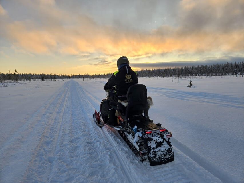 Lapland: Private Snowmobile Safari with arctic Local Guide - The fireplace break: warm drinks, Finnish-style comforts, and photos