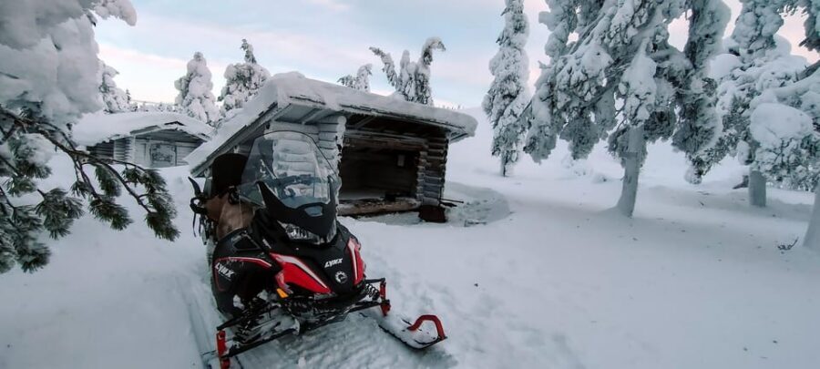 Lapland: Private Snowmobile Safari with arctic Local Guide - Transfers, timing slots, and how the day actually flows