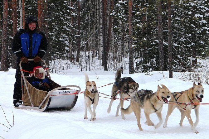 Lapland Reindeer and Husky Safari from Rovaniemi - Husky Home and the 2km Sled Ride: Pet, Learn, Then Go
