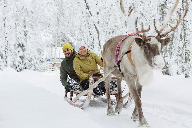Lapland Reindeer and Husky Safari from Rovaniemi - Who Should Book This Safari (and Who Should Skip)