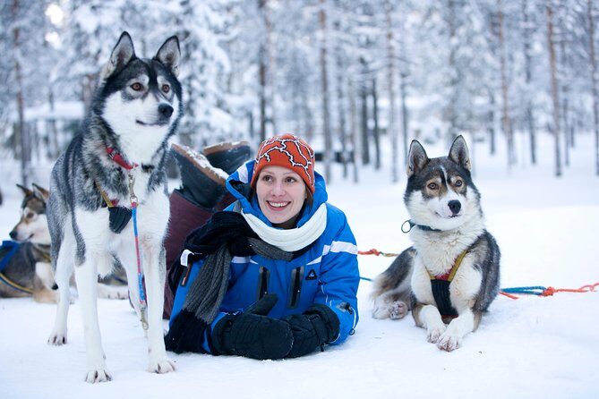 Lapland Reindeer and Husky Safari from Rovaniemi - Reindeer Farm: The Handling Test and the 500m Sleigh Ride