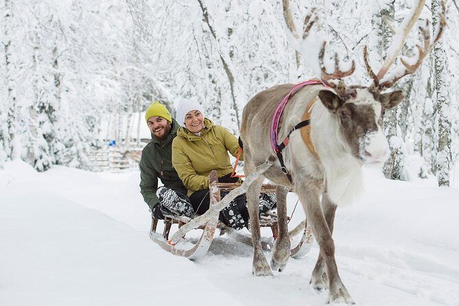 Lapland Reindeer Safari from Rovaniemi - Why this Rovaniemi reindeer safari is a strong use of your time