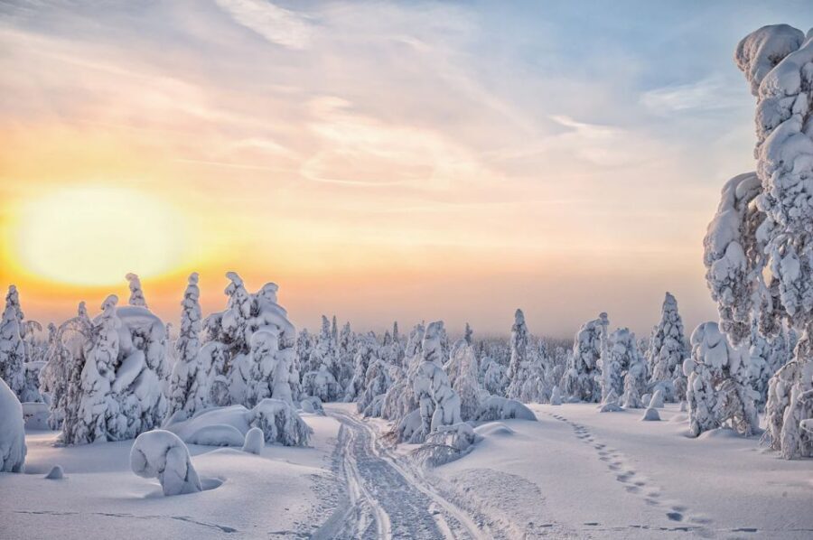 Lapland: The Frozen Waterfalls of Korouoma Tour - Price and Value: What You’re Really Paying For