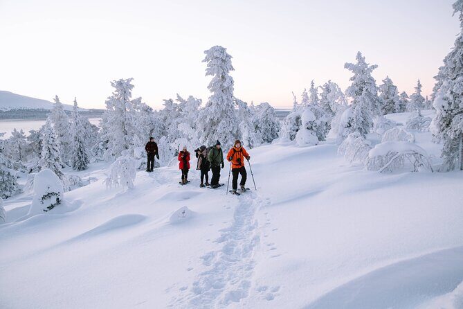 Lapland Winter Experience - On the snow: how snowshoes change the hike
