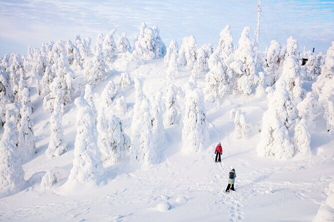 Lapland Winter Experience - The campfire BBQ and warm drink: the payoff after the snow
