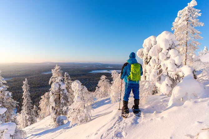 Lapland Winter Experience - Price and value: is $119.27 worth it?