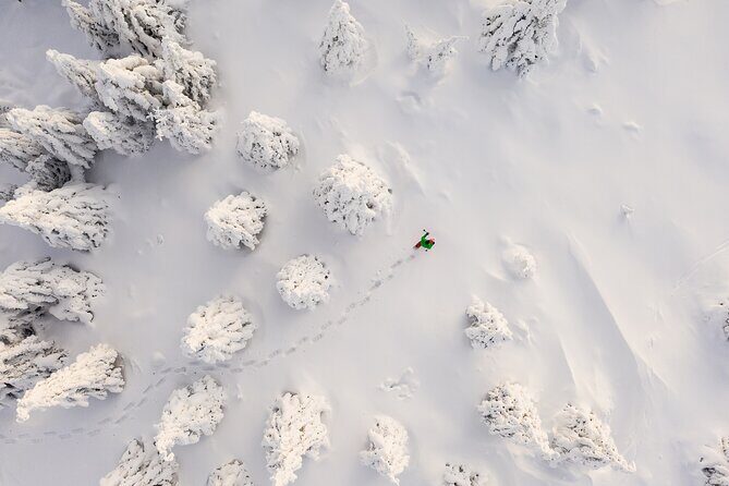 Lapland Winter Experience - Pickup, timing, and the meeting point (so you’re not chasing vans)