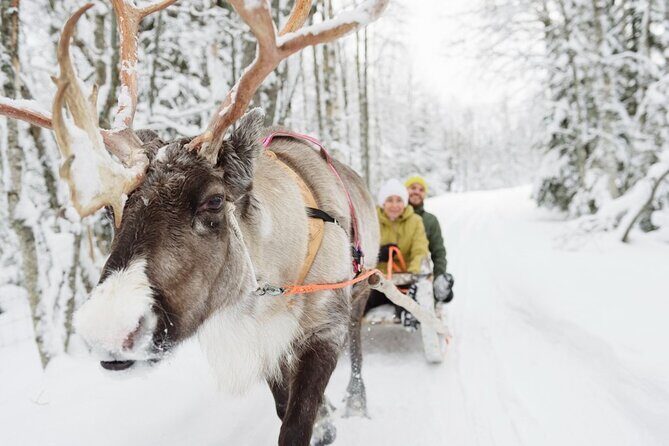 Meet Santa Claus & Santa's Reindeer Ride & Greet Huskies - Santa’s Official Post Office: Send Mail That Makes Sense