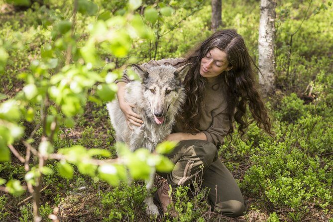 Meet Taivas & the Arctic Wolves - Private Tour - Quick hits you’ll actually use