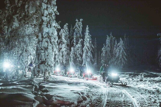 Night Snowmobile Safari, Rovaniemi - The Bonfire Break: Hot Drinks and a Winter Reset