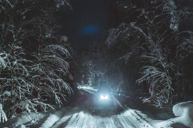 Night Snowmobile Safari, Rovaniemi - Price Check: Is $174.42 Worth It?