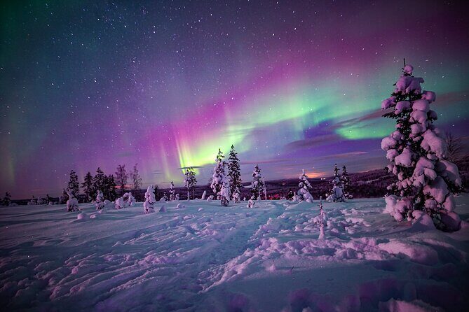 Night Snowshoeing Adventure under the Northern Lights - Key Highlights at a Glance