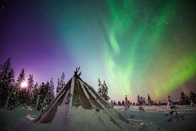 Night Snowshoeing Adventure under the Northern Lights - Northern Lights Odds: What the Guide Optimizes on Your Walk