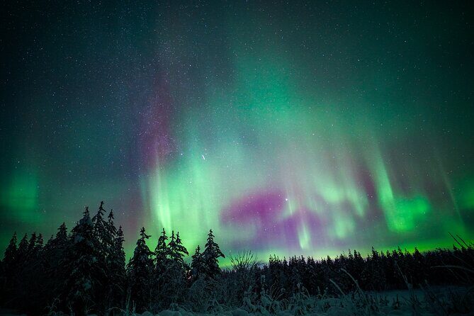 Night Snowshoeing Adventure under the Northern Lights - What to Wear for a Night Snowshoe Walk in Rovaniemi