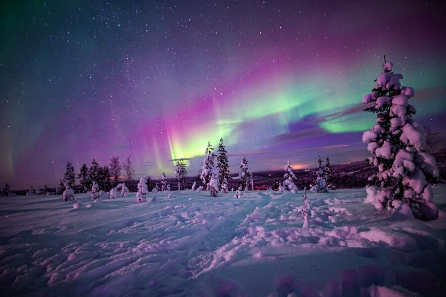 Night Snowshoeing Adventure under the Northern Lights - Pickup, Location, and the Practical Start of Your Night