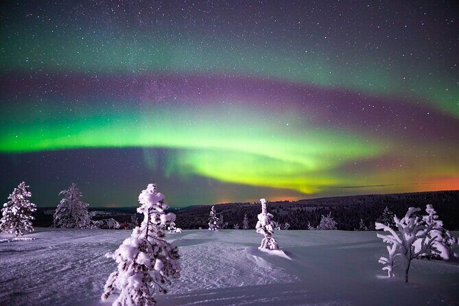 Night Snowshoeing Adventure under the Northern Lights - The Guide’s Aurora Plan: How the Night Gets Shaped