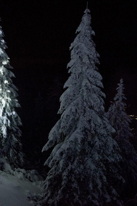 Night Snowshoeing Lapland Experience - Key highlights worth your attention