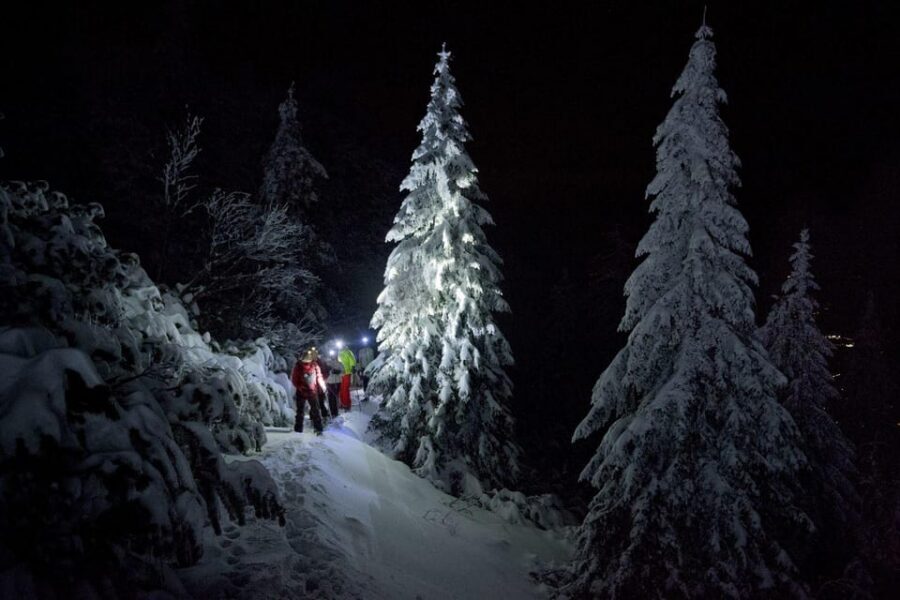 Night Snowshoeing Lapland Experience - White Night Snowshoeing in Rovaniemi: What the 3 Hours Feel Like