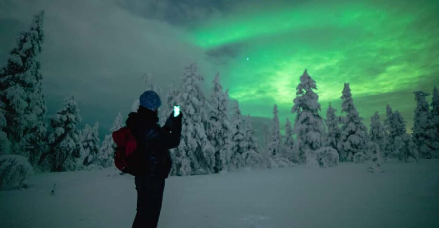 Night Snowshoeing Lapland Experience - Forest Trails vs Frozen Lake: How Conditions Change the Walk