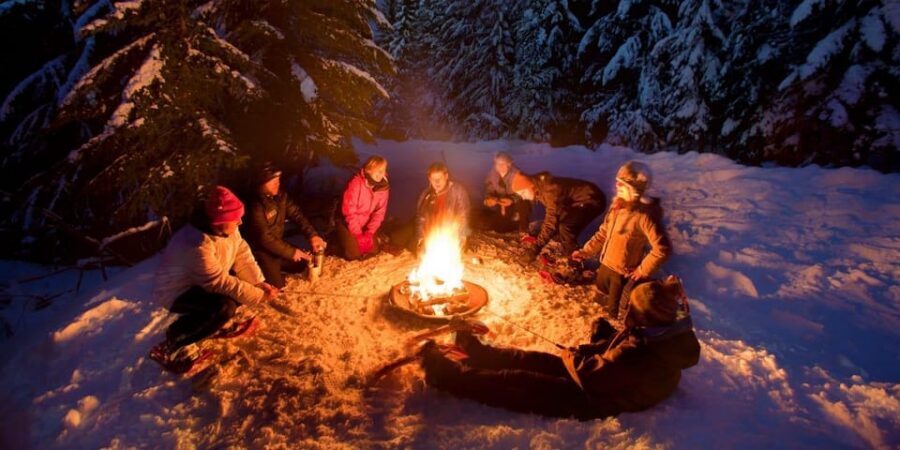 Night Snowshoeing Lapland Experience - Price Check: Is $176 Worth It for 3 Hours in Lapland?