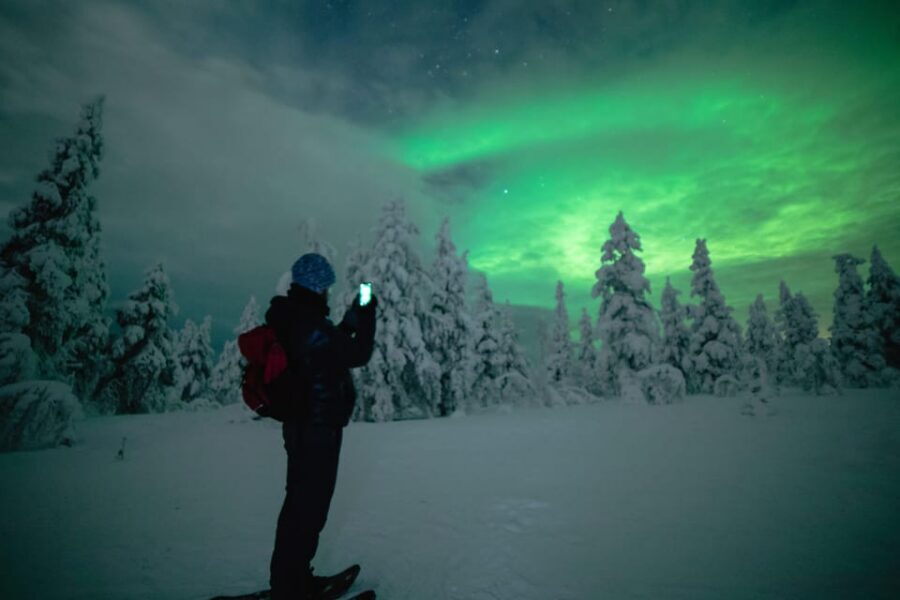 Night Snowshoeing Lapland Experience - Who This Rovaniemi Night Snowshoeing Tour Suits Best