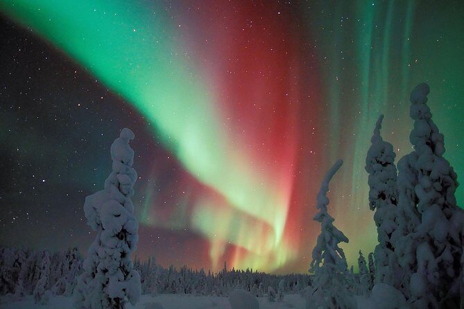 Northern Lights Hunt from Rovaniemi with Folk Tales and Snacks over Campfire - What You Actually Do During the 3-Hour Hunt