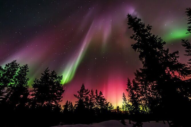 Northern Lights Hunt from Rovaniemi with Folk Tales and Snacks over Campfire - The “Should I Book?” Decision