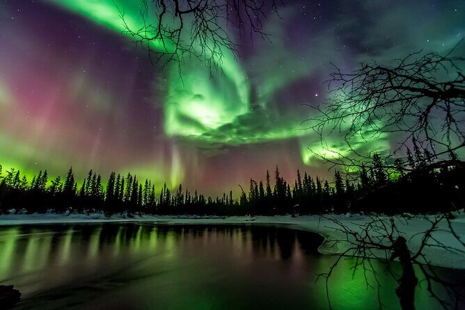 Northern Lights Hunt Including Snacks on Campfire from Rovaniemi - Escaping Rovaniemi Light Pollution: The Real Value of the “Secret” Viewing Spot
