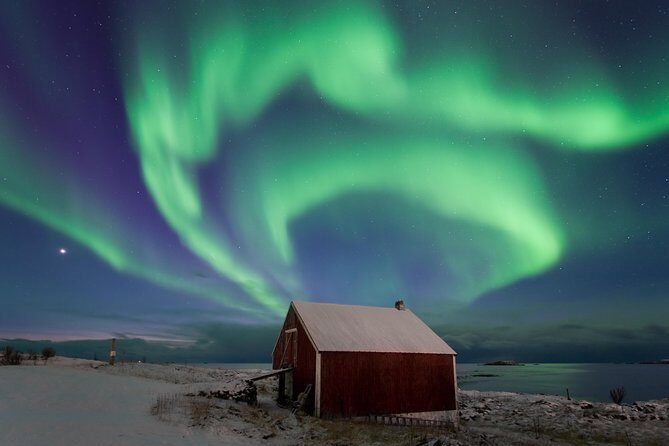 Northern Lights Hunt Including Snacks on Campfire from Rovaniemi - Price and Value: Is $144.83 Worth It?