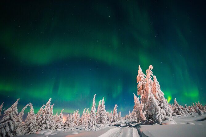 Northern Lights Hunting of Rovaniemi - Stop 1 in Rovaniemi: Dark Spots, Firelight, and Seeing the Lights
