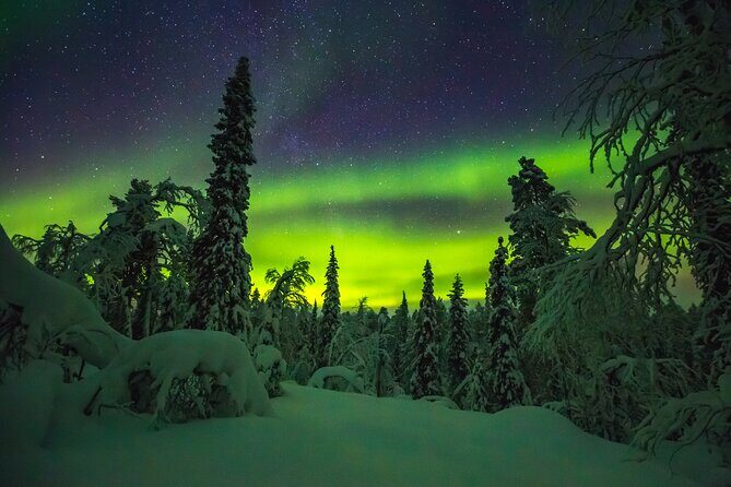 Northern Lights Hunting of Rovaniemi - Lapland BBQ by the Fireplace: Food That Actually Belongs Here