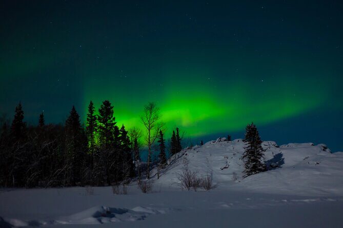 Northern Lights Hunting of Rovaniemi - The 3-Hour Aurora Chase: What You’ll Do Once the Van Rolls