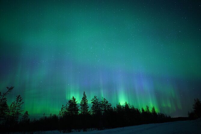 Northern Lights Hunting Photography Tour in Rovaniemi Finland - Key Points You’ll Care About Before You Go