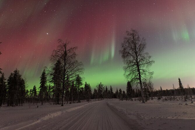 Northern Lights Hunting with a photographer (Only small groups) - Pickup in Rovaniemi: why you won’t get a fixed hour