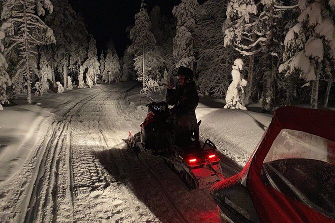 Northern Lights Night by Snowmobile (private tour) - Private northern lights night: what you gain vs big-group tours