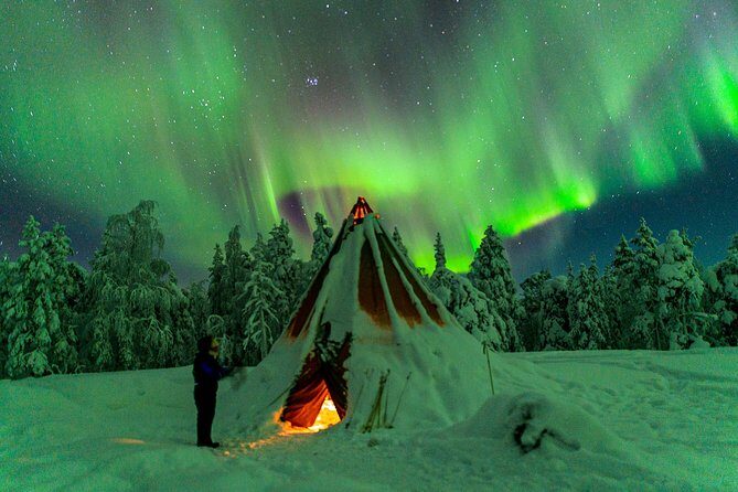Northern Lights Photography Tour from Rovaniemi - Warm breaks, snacks, and fire time: the real secret to a good night