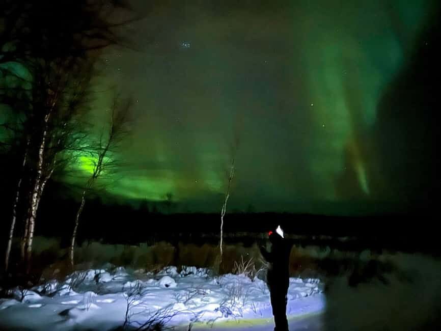 Northern lights private tour Rovaniemi - From pickup to dark skies: how the night starts