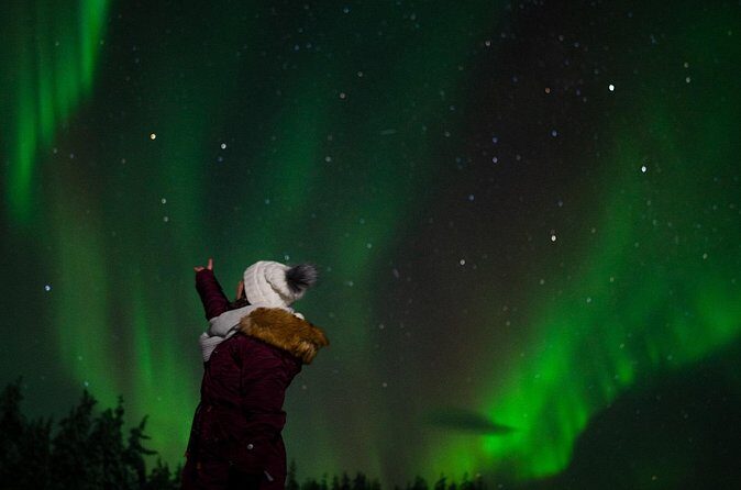 Northern lights Reindeer Sledge Ride - Your Rovaniemi stop: the 20-minute reindeer sleigh ride