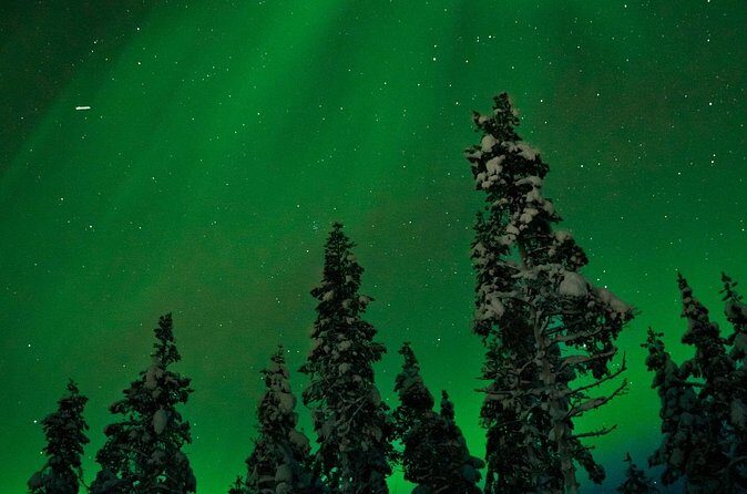 Northern lights Reindeer Sledge Ride - Group size, English guiding, and staying comfortable in winter