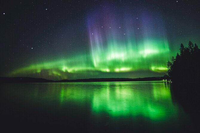 Northern Lights Rovaniemi: Guaranteed Viewing & Unlimited Mileage - Price and value: is $228.62 a smart bet?