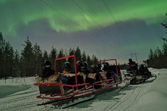 Northern Lights Sledge Ride - Key highlights before you go