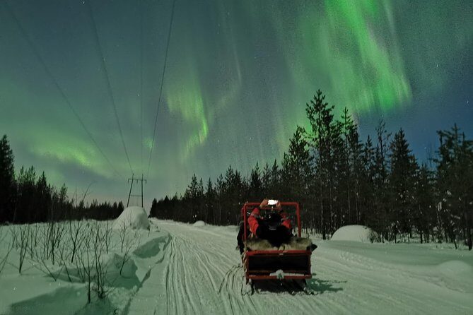 Northern Lights Sledge Ride - Small group size: why max 30 can matter