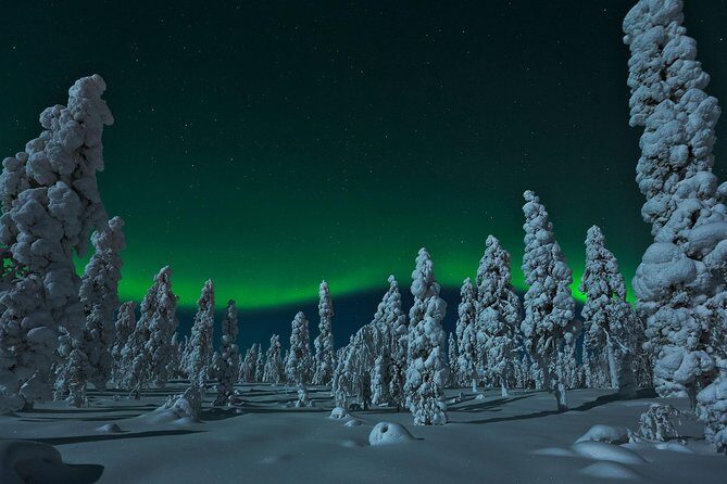 Northern Lights Snowmobile Safari from Rovaniemi with Campfire Picnic - Meeting at Pirkkakatu 2 and Getting Dressed the Right Way