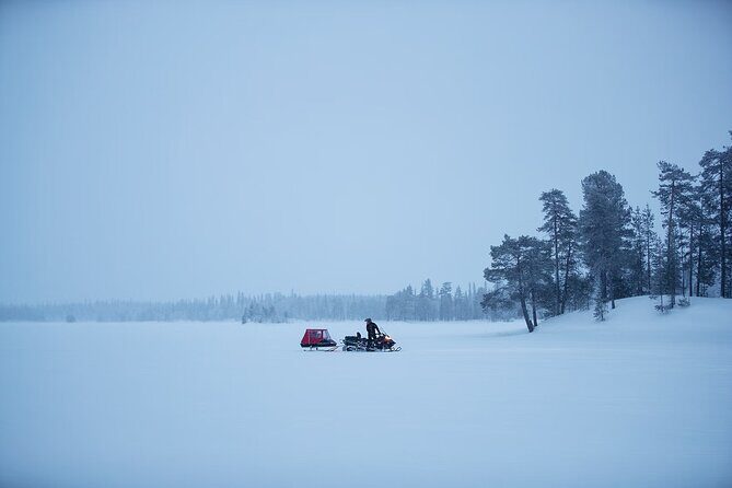 Northern Lights Snowmobile Sledge Ride in Rovaniemi - What This 3-Hour Aurora Sledge Ride Feels Like in Rovaniemi