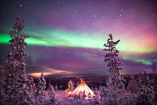 Northern Lights Snowmobile Sledge Ride in Rovaniemi - Guides and the small-group vibe: why Matus’s approach stood out