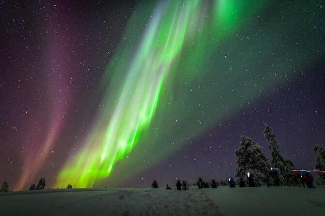 Northern Lights Snowmobile Sleigh Ride - Key Points That Matter Before You Go